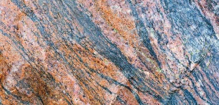 2022年廣東省最新林業(yè)碳匯申報要求匯總：方法學(xué)、申報模板、材料清單