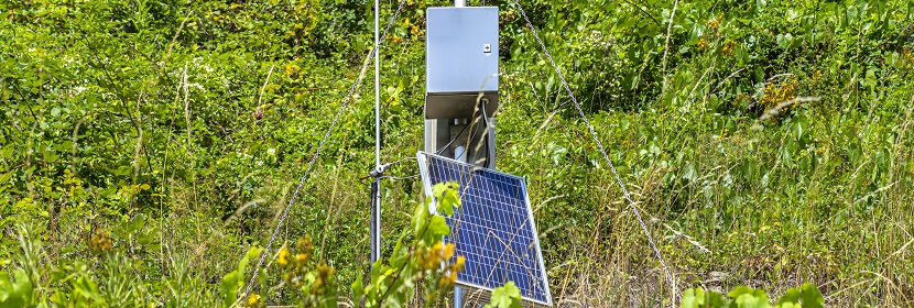 城市供水及飲用水中微生物如何快速檢測 這幾個單位的對比給出答案！?微生物高分文章必備分析LEfSe?健明迪