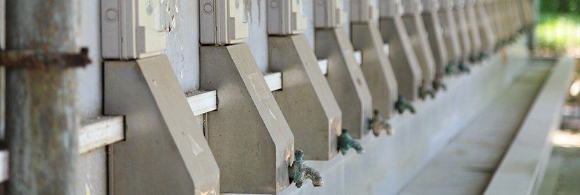 飲用水質檢測/監(jiān)測