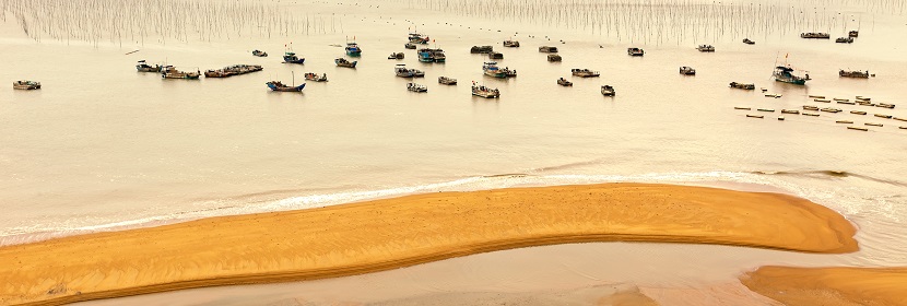 土壤鹽漬化監(jiān)測(cè)