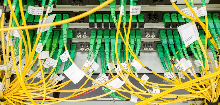 環(huán)擴(kuò)張?jiān)囼?yàn)