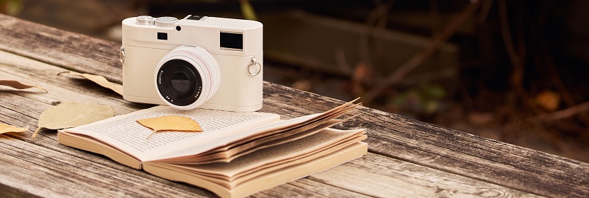 結(jié)核分枝桿菌感染樹(shù)鼩模型