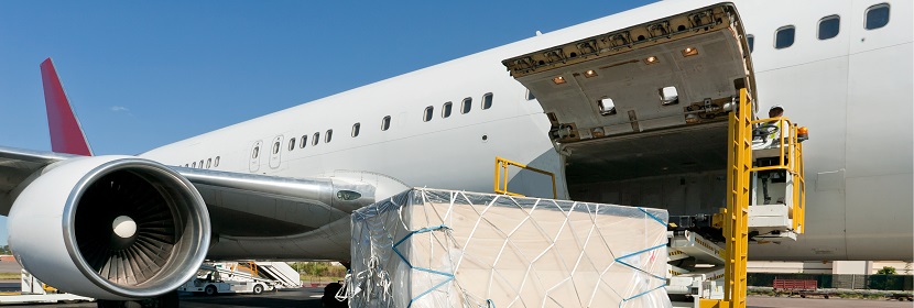 STZ誘導(dǎo)糖尿病ICR小鼠模型