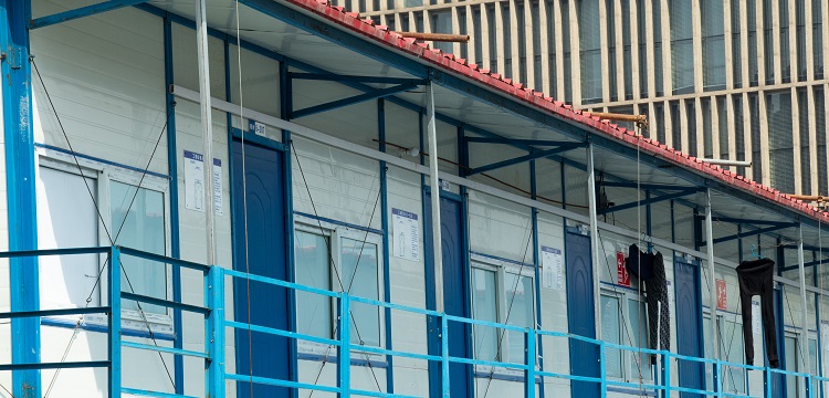 強(qiáng)迫癥PIPING小鼠模型