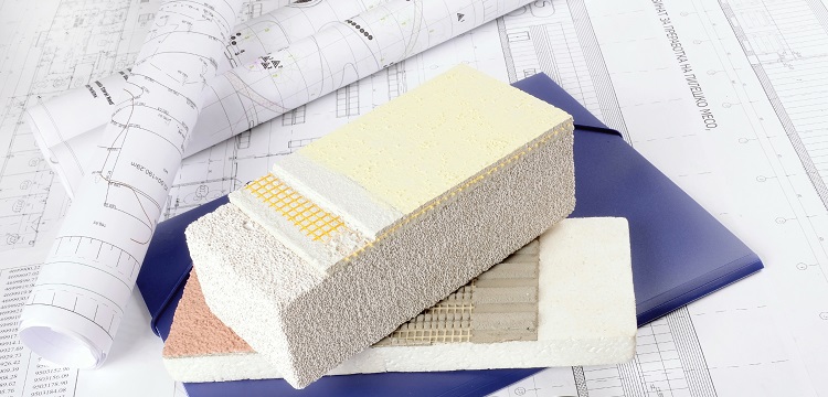 耳功能損傷斑馬魚(yú)模型