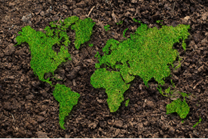 增強(qiáng)劑檢測(cè)