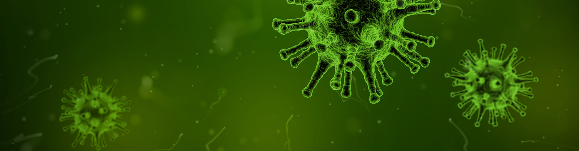 建設(shè)用砂檢測