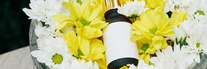 聚醚胺檢測(cè)