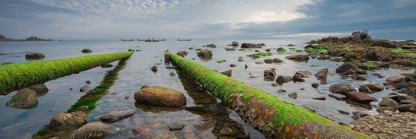 門開關檢測