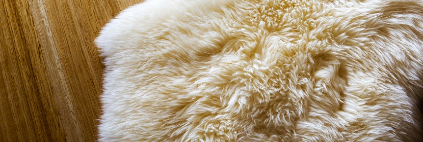 門(mén)尼焦燒測(cè)定