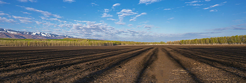 穩定碳同位素測試
