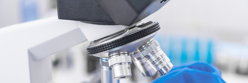 汽車保險(xiǎn)杠聚丙烯(PP)專用料檢測(cè)