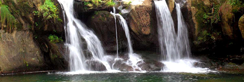 負(fù)氧離子檢測