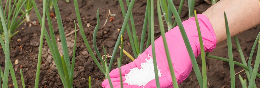 肥料級(jí)氰氨化鈣檢測(cè)