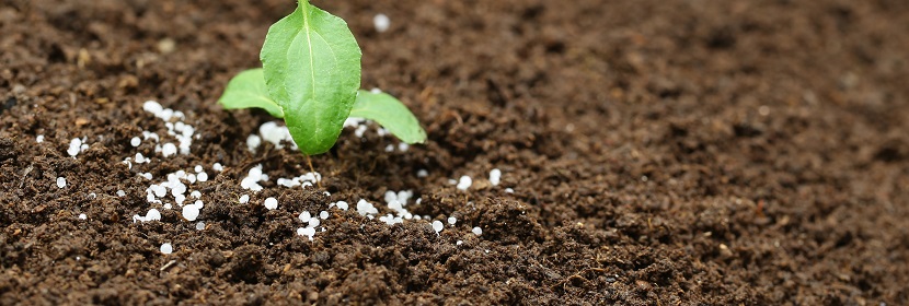 硝基腐植酸檢測(cè)
