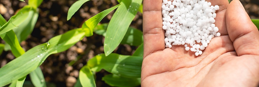 高爾夫球場草坪專用肥檢測