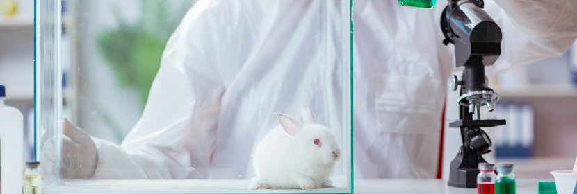 消毒劑急性吸入毒性試驗(yàn)