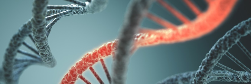 基因突變試驗(yàn)