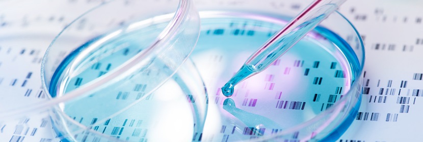 化妝品細(xì)胞染色體畸變試驗(yàn)