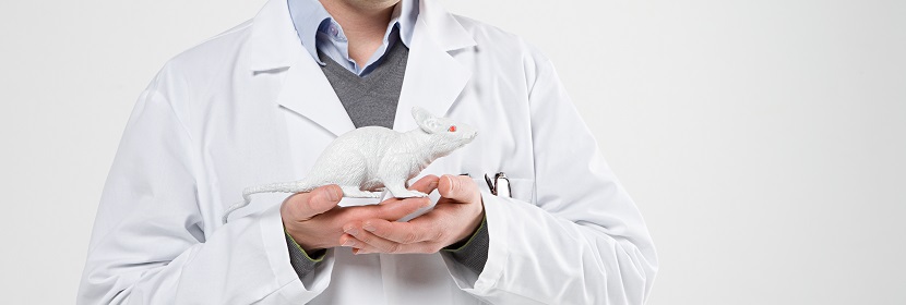 動物急性經(jīng)口毒性試驗