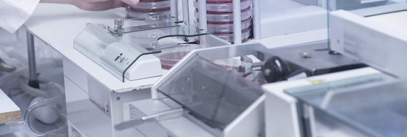 洗滌消殺產品L5178Y細胞基因突變試驗