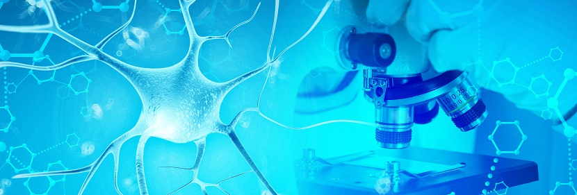 對氯間二甲苯酚消毒劑備案檢測