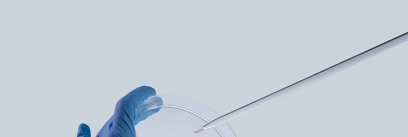 消毒產(chǎn)品檢測