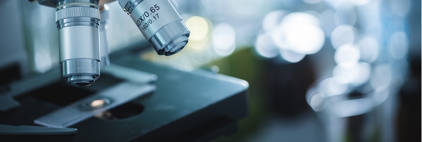 食品包裝用紙與塑料復合膜、袋檢測