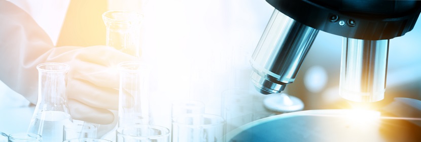 汽車聚丙烯（PP）內門板檢測